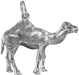 Camel ;large