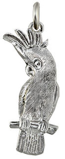 Cockatoo:   medium