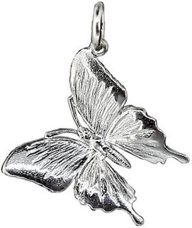 Butterfly,  Ulysses