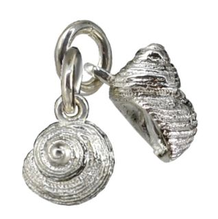 Winkle Shell; small