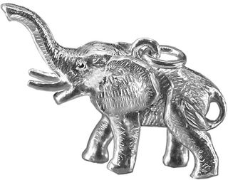 Elephant;   large