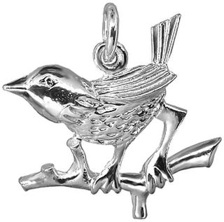 Bird on a Branch